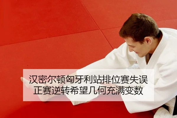 han-mi-er-dun-xiong-ya-li-zhan-pai-wei-sai-shi-wu-zheng-sai-ni-zhuan-xi-wang-ji-he-chong-man-bian-shu-2-320.jpg